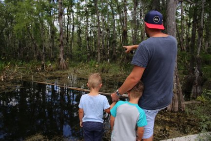 Ein Vater zeigt seinen beiden Söhnen auf einen ruhigen Wasserbereich im Everglades, umgeben von üppigem Grün.