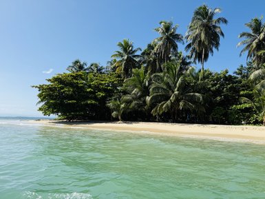 Ein ruhiger Strand mit feinem, goldenem Sand und üppigen Palmen, die sanft im Wind wiegen.
