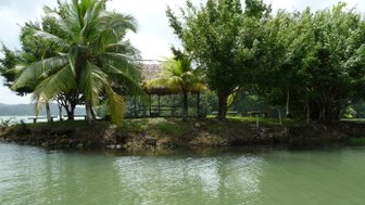 Eine kleine, grüne Insel mit Palmen und einem schattigen Unterstand am Wasser, umgeben von ruhigem, klarem Wasser.