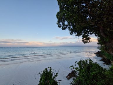 Ein ruhiger Strand mit sanften Wellen, umgeben von üppigem Grün und einem klaren Himmel, der die Abendstimmung einfängt.