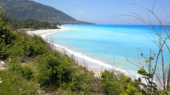 Eine atemberaubende Küstenlandschaft mit klarem, türkisfarbenem Wasser und sanften Wellen, umgeben von üppigem Grün.