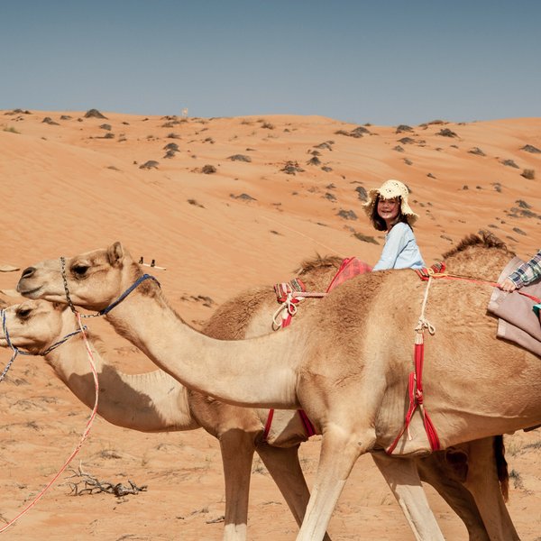 Kinder reiten gemeinsam mit einem Einheimischen auf Kamelen – Oman Reise mit Kindern