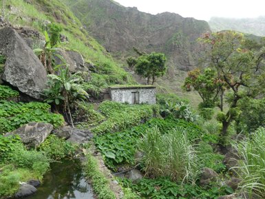 Eine alte, weiße Hütte steht umgeben von üppigem grünen Pflanzenwuchs und großen Felsen in einer bergigen Landschaft.