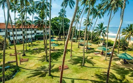 Eine weitläufige Gartenlandschaft mit Palmen und Liegen, die zum Entspannen am Strand einladen.
