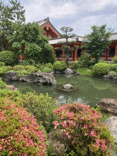 Ein ruhiger Garten mit einem Teich, umgeben von üppigem Grün und blühenden Azaleen, vor einem traditionellen Tempel.