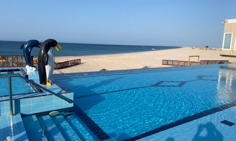 Poolanlage im Ras al Hadd Turtle Beach Resort mit Blick auf die Palmen – Oman Familienreise