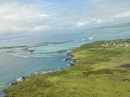Eine atemberaubende Küstenlandschaft mit klarem, türkisfarbenem Wasser und üppigem, grünem Land im Vordergrund.
