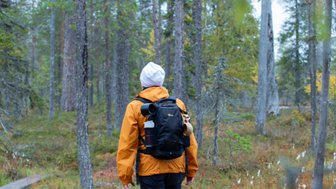 Eine Person mit einem Rucksack wandert auf einem Holzsteg durch einen herbstlichen Wald in Finnland.