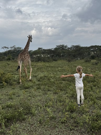 Ein Mädchen mit ausgebreiteten Armen steht in einer grünen Landschaft und beobachtet eine Giraffe, die sich entfernt.
