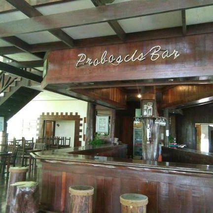 Bar der Proboscis Lodge Bukit Melapi – Malaysia & Borneo mit Kindern