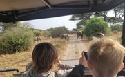 Zwei Kinder sitzen in einem Geländewagen und beobachten Elefanten, die auf einem staubigen Weg in der Savanne wandern.
