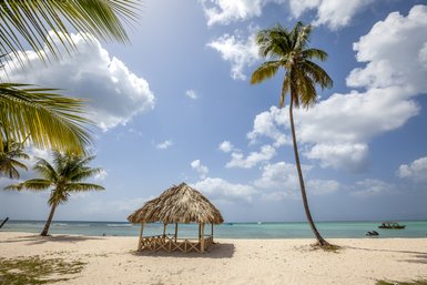 Ein malerischer Strand in Tobago mit einem strohgedeckten Pavillon und Palmen, die sanft im Wind wiegen.