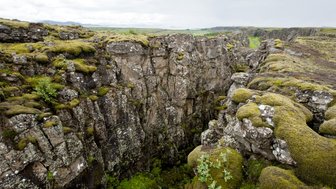 Eine beeindruckende Schlucht mit moosbedeckten Felsen und üppiger Vegetation, die unter einem bewölkten Himmel liegt.