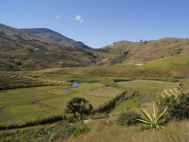 Eine weite Landschaft mit sanften Hügeln, bewachsenen Terrassen und einem klaren blauen Himmel über Ambalavao.