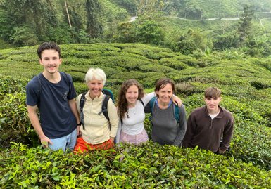 Familie posiert zwischen den satten grünen Teebüschen der Cameron Highlands – Malaysia & Borneo Familienreise