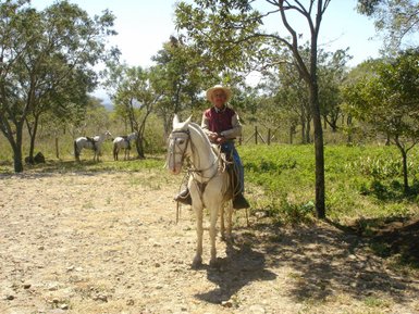 Mann reitet Pferd durch die Landschaft Costa Ricas – Costa Rica Familienreise