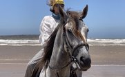 Mädchen reitet auf Pferd am Strand - Marokko Family & Teens