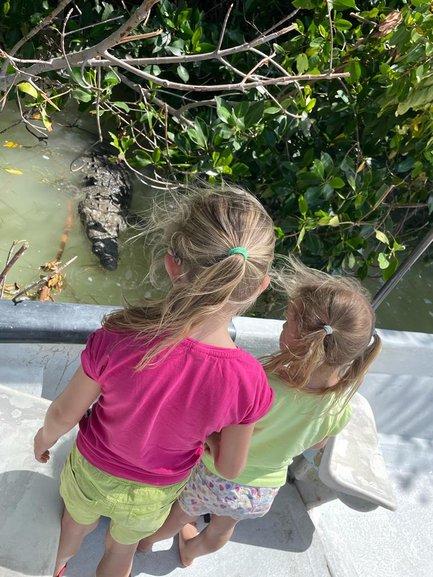 Kinder an Bord eines Bootes schauen auf ein Krokodil im Wasser des Rio Lagartos Naturreservats – Mexiko mit Kindern