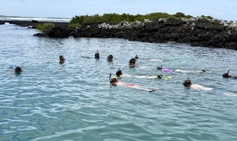 Eine Gruppe von Schnorchlern schwimmt in klarem Wasser, umgeben von Felsen und üppiger Vegetation im Hintergrund.