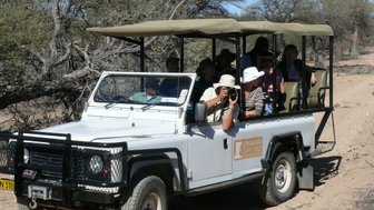 Eine Reisegruppe sitzt in einem offenen Jeep und macht Bilder von der Flora und Fauna - Namibia Familienurlaub