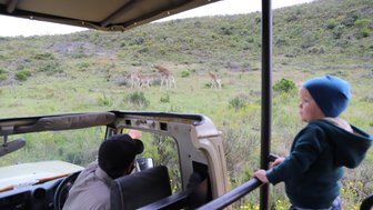 Safari-Guide und Baby betrachten Giraffen im Botlierskop Private Game Reserve entlang der Garden Route – Garden Route mit Kindern