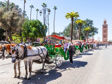 Traditionelle Kutschenwagen durch die Altstadt von Marrakesch – Marokko mit Kindern