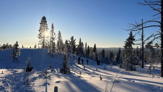 Eine Gruppe von Wanderern durchquert eine schneebedeckte Landschaft, während die Sonne hinter den Bäumen aufgeht.