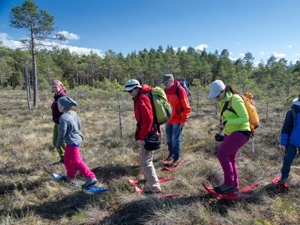 Eine Gruppe wandert mit passenden Schuhen durch ein Moor