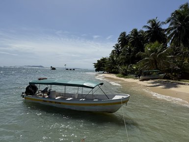 Ein kleines Motorboot liegt sanft am Ufer, umgeben von sonnigem Sandstrand und hohen Palmen.