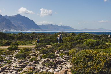 Eine Familie wandert entlang eines Küstenpfades, umgeben von üppigem Grün und beeindruckenden Bergen im Hintergrund.