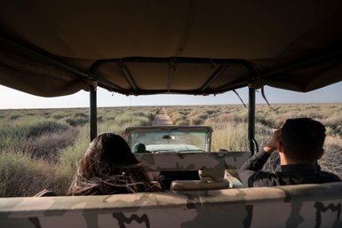 Blick aus Jeep im Shaumari Wildlife Reserve - Jordanien Familienreise