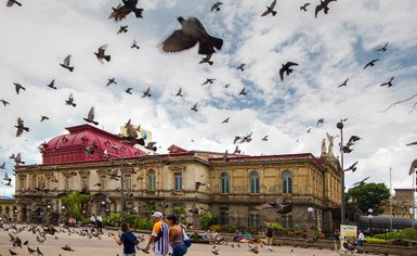 Bunte Vögel vor den Sehenswürdigkeiten in San José – Costa Rica Reise mit Kindern