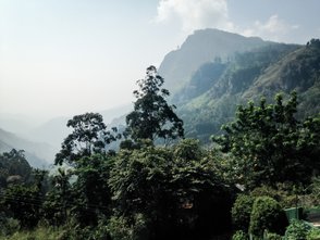 Blick auf die grüne Bergwelt und Bäume in Ella – Sri Lanka Familienreise