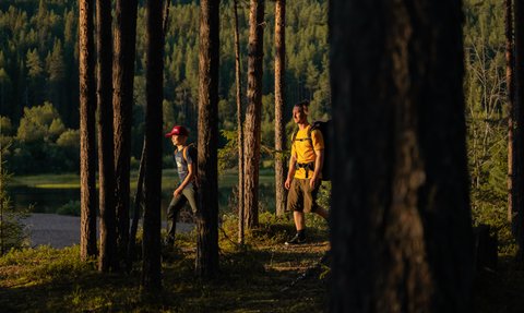 Wanderung im Oulanka Nationalpark - Finnland mit Kindern