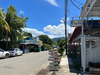 Sonnige Straße mit Palmen in Uvita – Costa Rica Familienreise