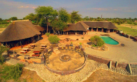 Eine luftige Ansicht des Elephant Sands Lodges in Botswana, umgeben von Bäumen und einer einladenden Poollandschaft.