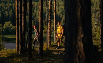 Wanderung im Oulanka Nationalpark - Finnland mit Kindern