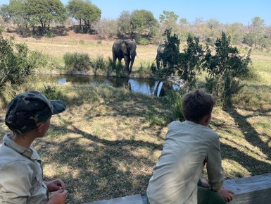 Zwei Kinder sitzen im Schatten und beobachten Elefanten an einem Wasserloch – Südafrika Reise mit Kindern
