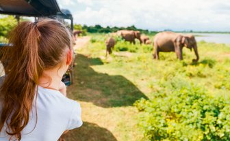 Kind beobachtet die Tierwelt aus dem Jeep im Udawalawe Nationalpark – Sri Lanka Familienreise