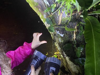 Familie entdeckt nachtaktive Tiere bei einer Wanderung im La Tirimbina Reservat – Costa Rica Familienreise