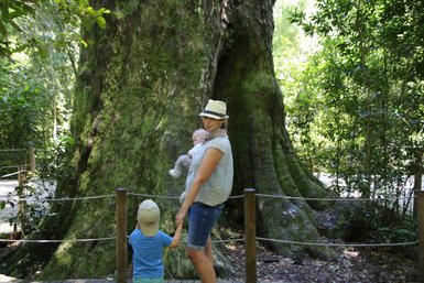 Mutter mit Baby und Kind vor großem Baum im Tsitsikamma Nationalpark – Garden Route Reise mit Kindern