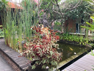 Ein ruhiger Garten mit einem Teich, umgeben von hohen Pflanzen und bunten Blumen, die eine friedliche Atmosphäre schaffen.
