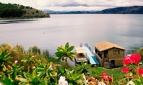 Ein ruhiger See mit sanften Wellen, umgeben von üppigem Grün und bunten Blumen im Vordergrund.
