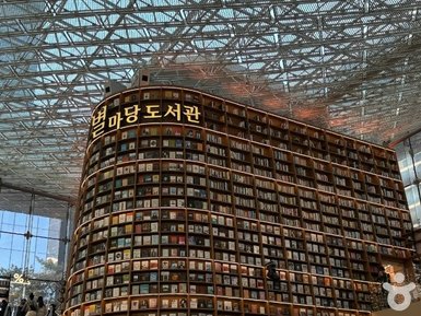 Eine beeindruckende Bücherwand in einem modernen Raum, die mit einer Vielzahl von Büchern gefüllt ist und einladend wirkt.