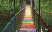 Eine bunte Holzbrücke führt durch den Dschungel, umgeben von üppigem Grün und einem ruhigen Gewässer auf der Seite.
