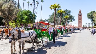 Traditionelle Kutschenwagen durch die Altstadt von Marrakesch – Marokko mit Kindern
