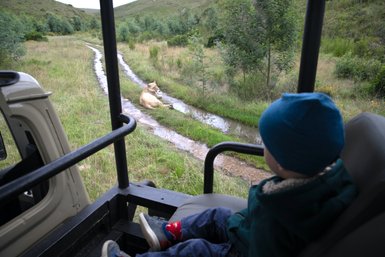 Kleines Kind blickt vom Safari-Jeep aus auf eine Löwin im Botlierskop Private Game Reserve – Garden Route Reise mit Kindern