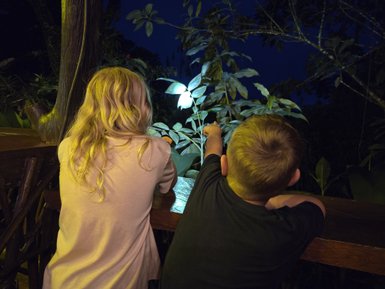Zwei Kinder beobachten gebannt das nächtliche Pflanzenlicht in einem dschungelartigen Garten, umgeben von üppiger Vegetation.
