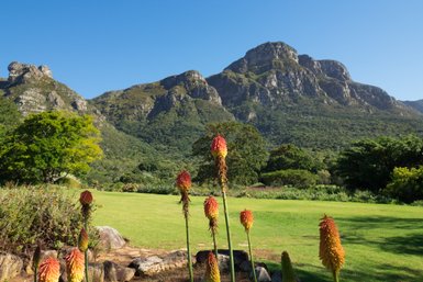 Blick auf die Berge in den Kirstenbosch Botanical Gardens – Südafrika Familienreise