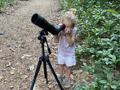 Mädchen beobachtet Tiere mit Fernglas im Carara-Nationalpark – Costa Rica Reise mit Kindern